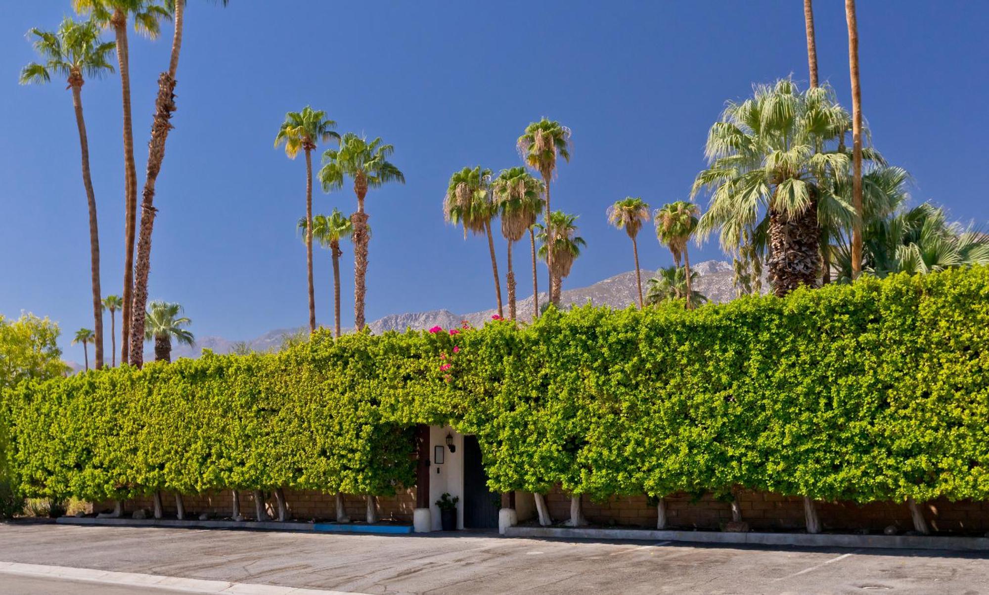 La Maison Hotel - Adults Only Palm Springs Kültér fotó